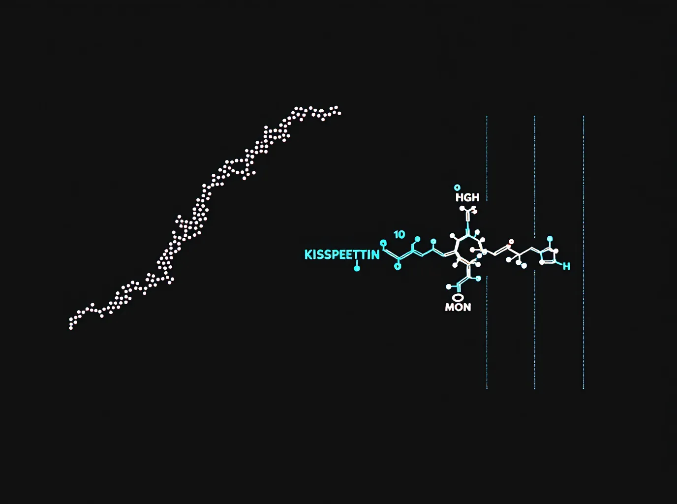 What is kisspeptin used for in research?